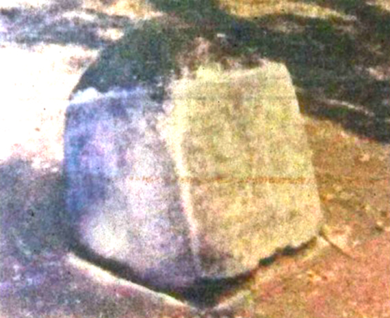 image thumbnail